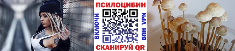 Галлюциногенные грибы мицелий  Купить закладки  Чухлома 